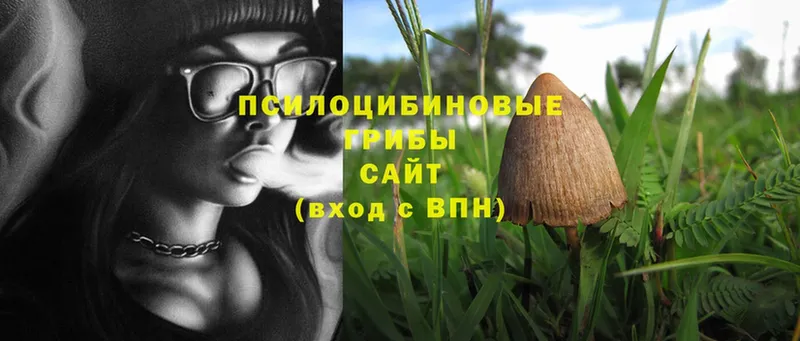 Псилоцибиновые грибы MAGIC MUSHROOMS Спас-Клепики